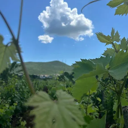 Bed & Breakfast Sobe Ivan-Popic Međugorje