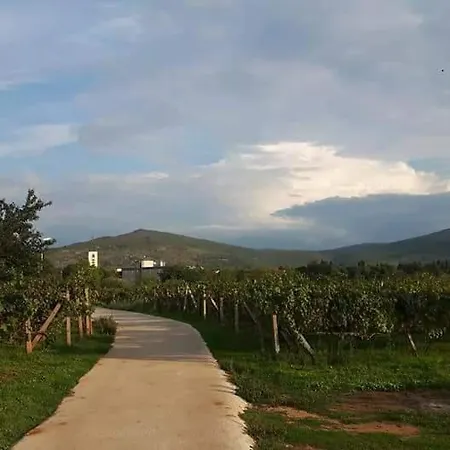 Sobe Ivan-Popic Bed & Breakfast Međugorje
