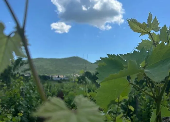 Bed & Breakfast Ivan-popic Međugorje